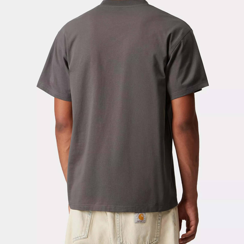 
                      
                        Carhartt WIP T-Shirt American Script grey prophry
                      
                    