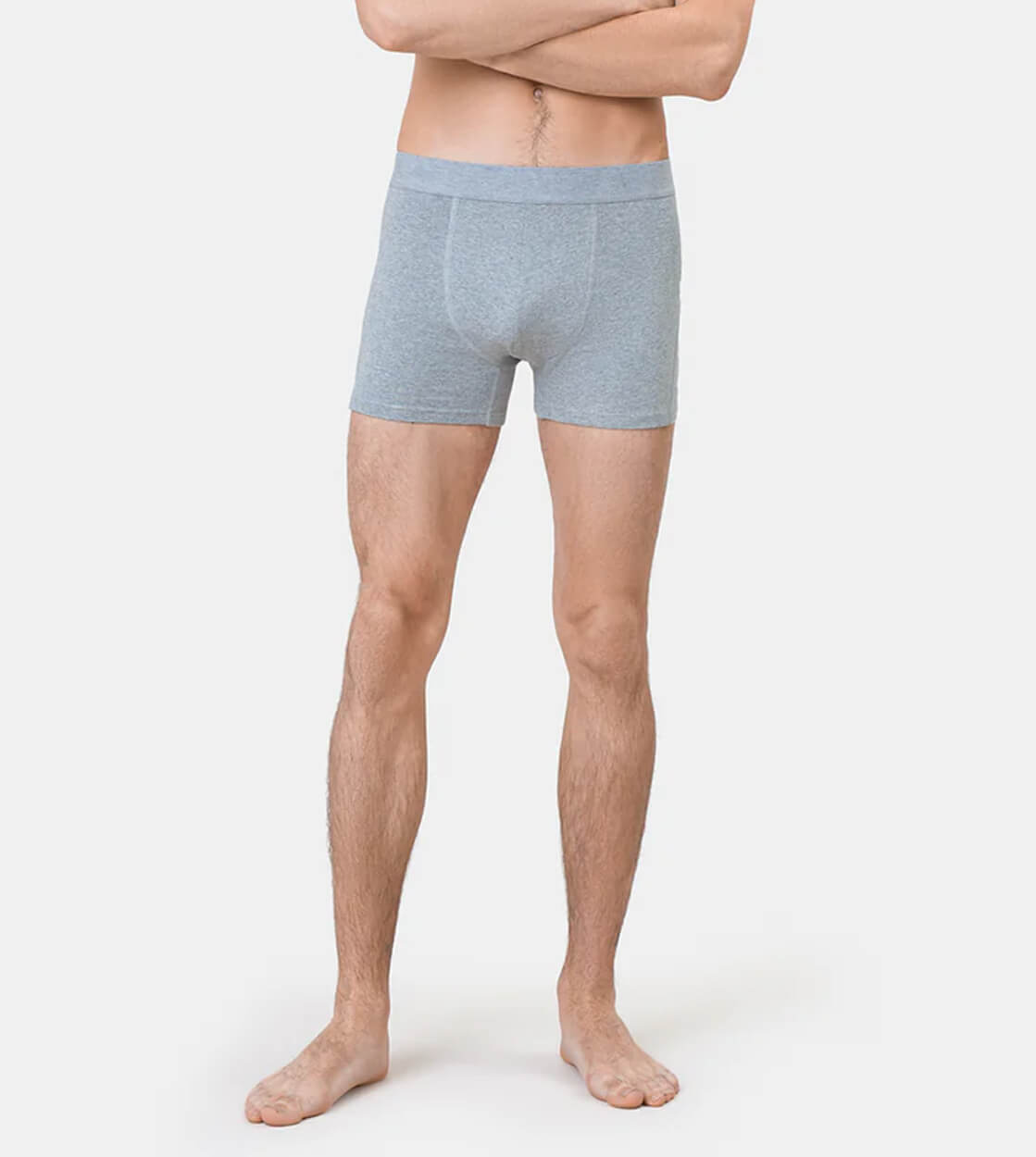 Colorful Standard Boxer Briefs grey heather