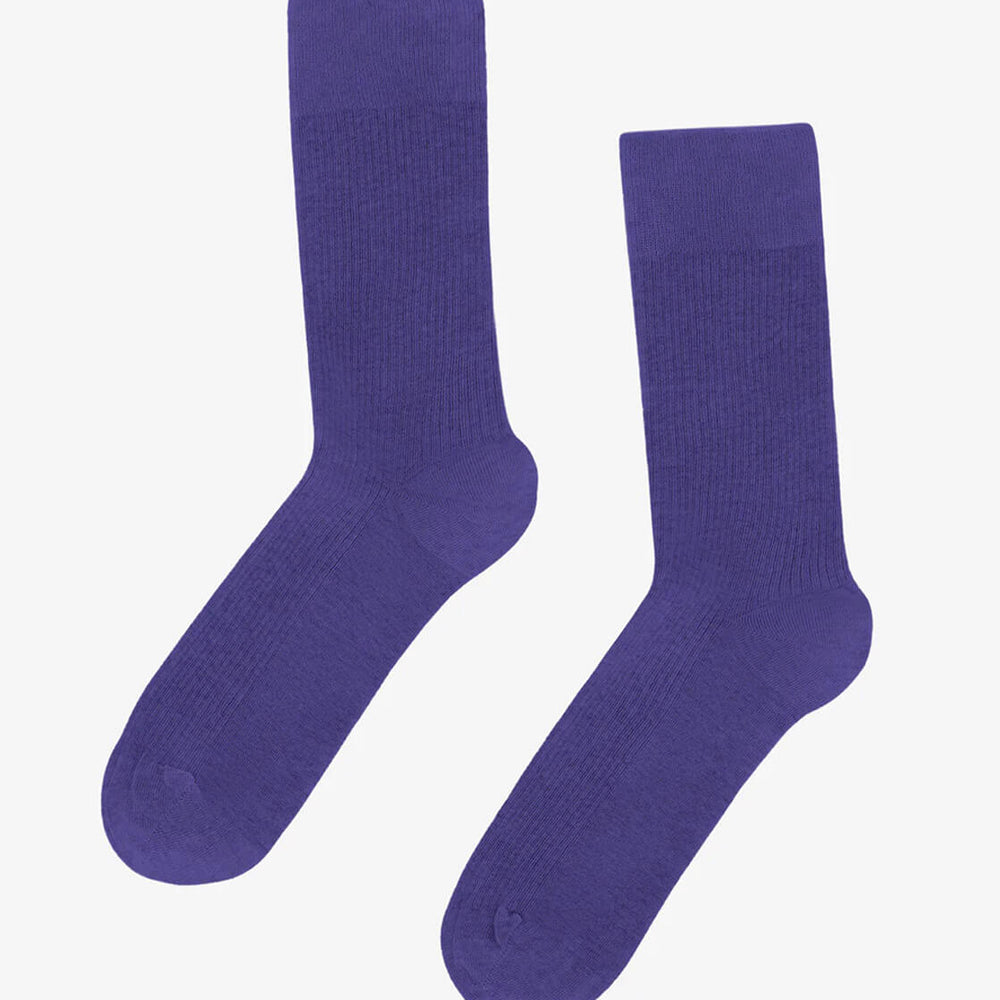 Colorful Standard Socks purple ultra violet