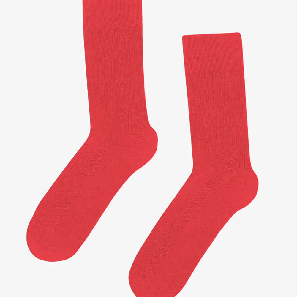 Colorful Standard Socks red tangerine