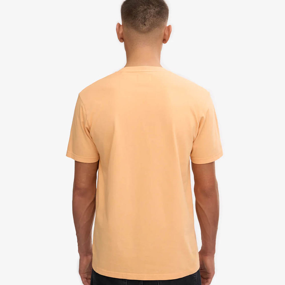 
                      
                        Colorful Standard T-Shirt CS 1001 orange sandstone
                      
                    