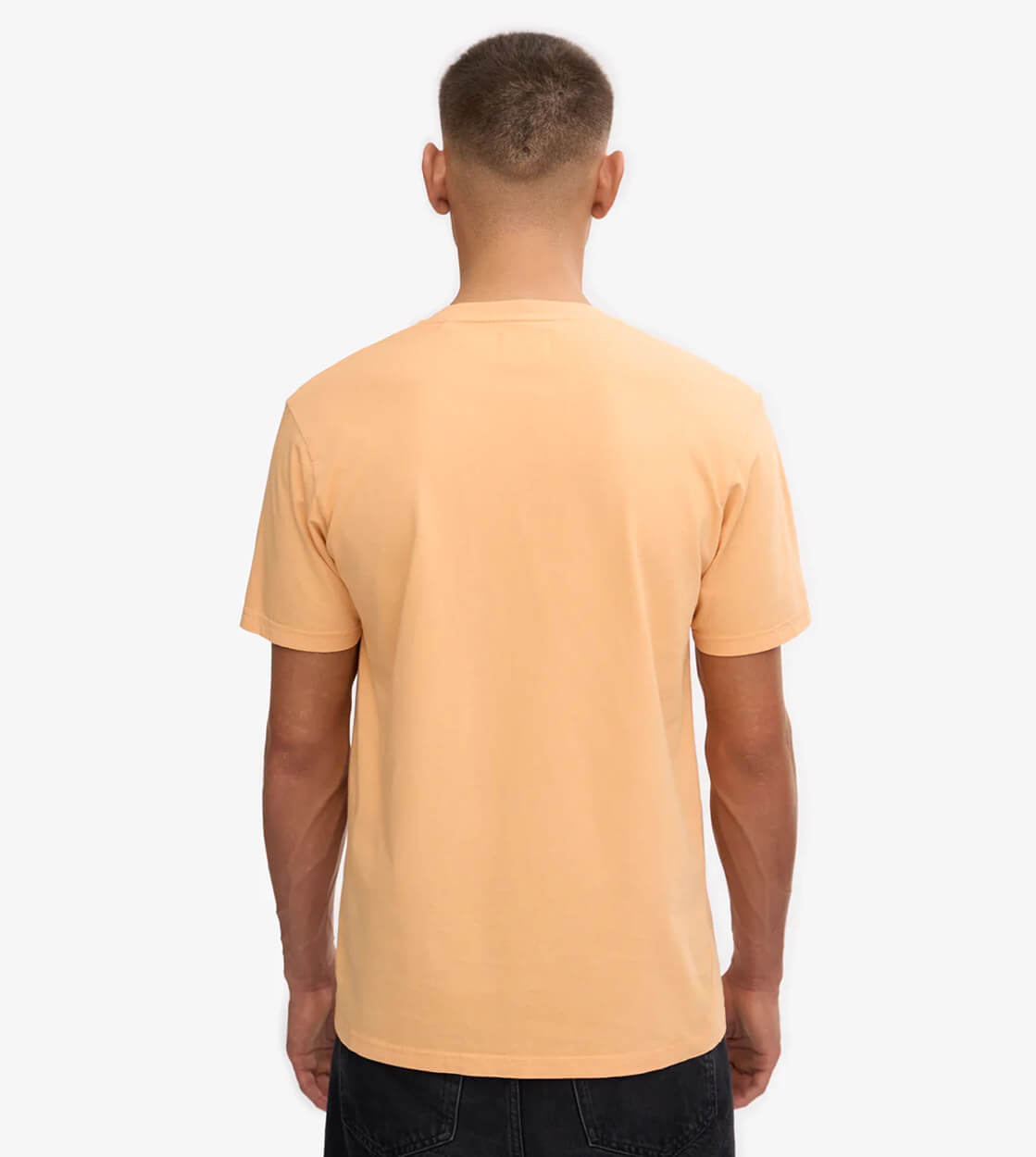 Colorful Standard T-Shirt CS 1001 orange sandstone