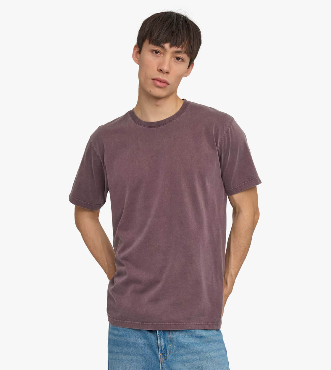 Colorful Standard T-Shirt CS 1001 purple faded grape