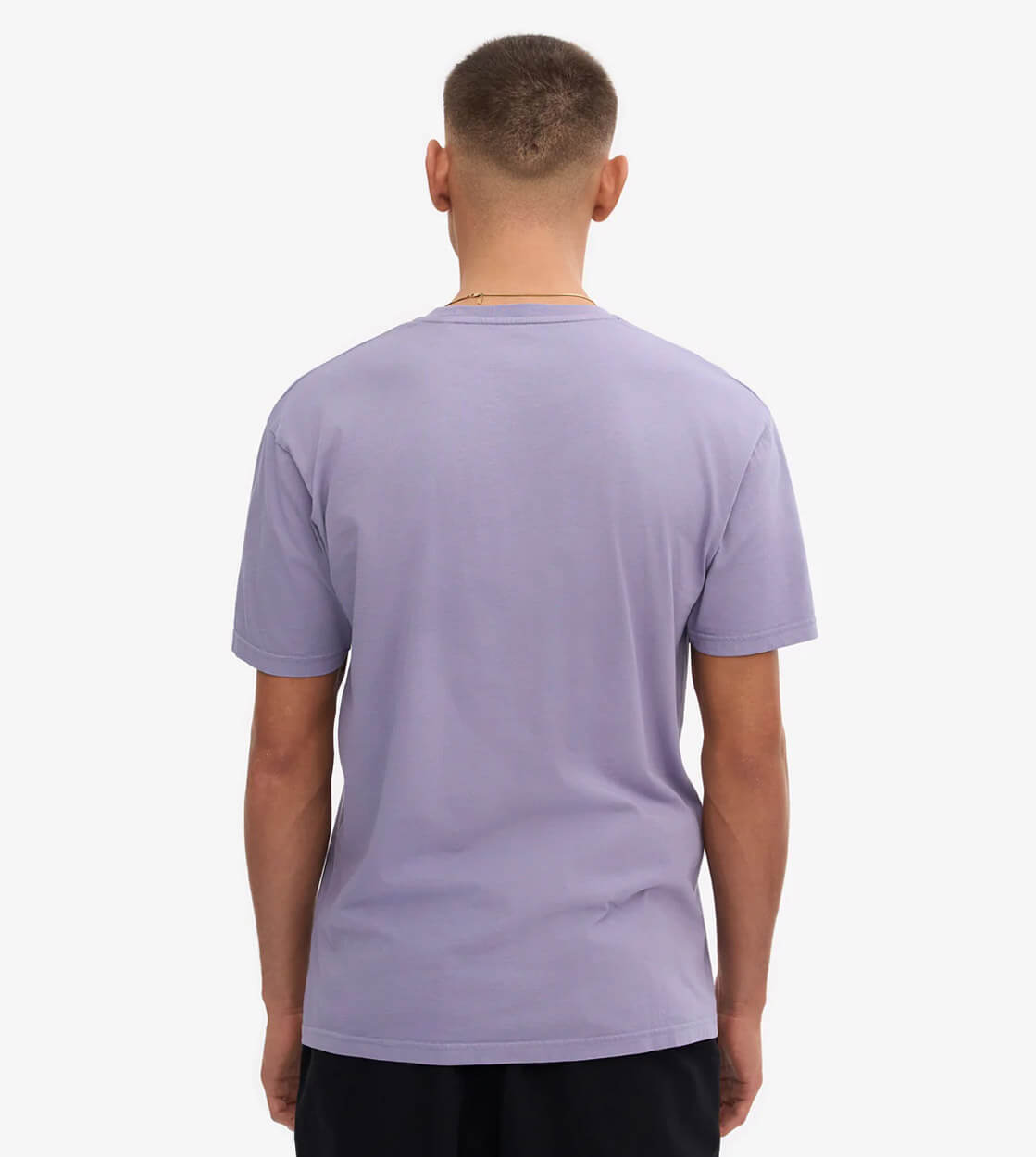 Colorful Standard T-Shirt CS 1001 purple jade