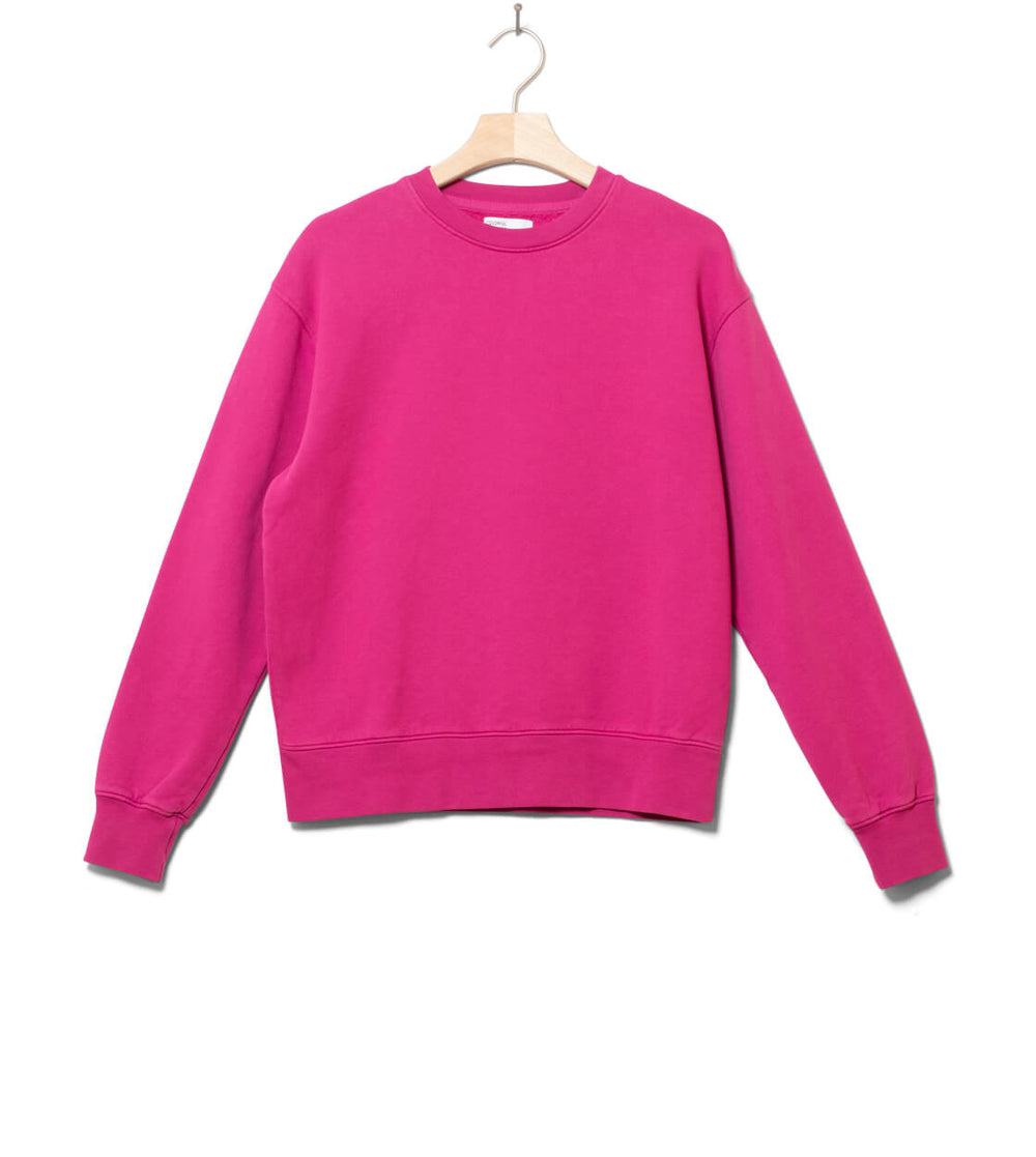 Colorful Standard W Sweater CS 2052 pink magenta blaze
