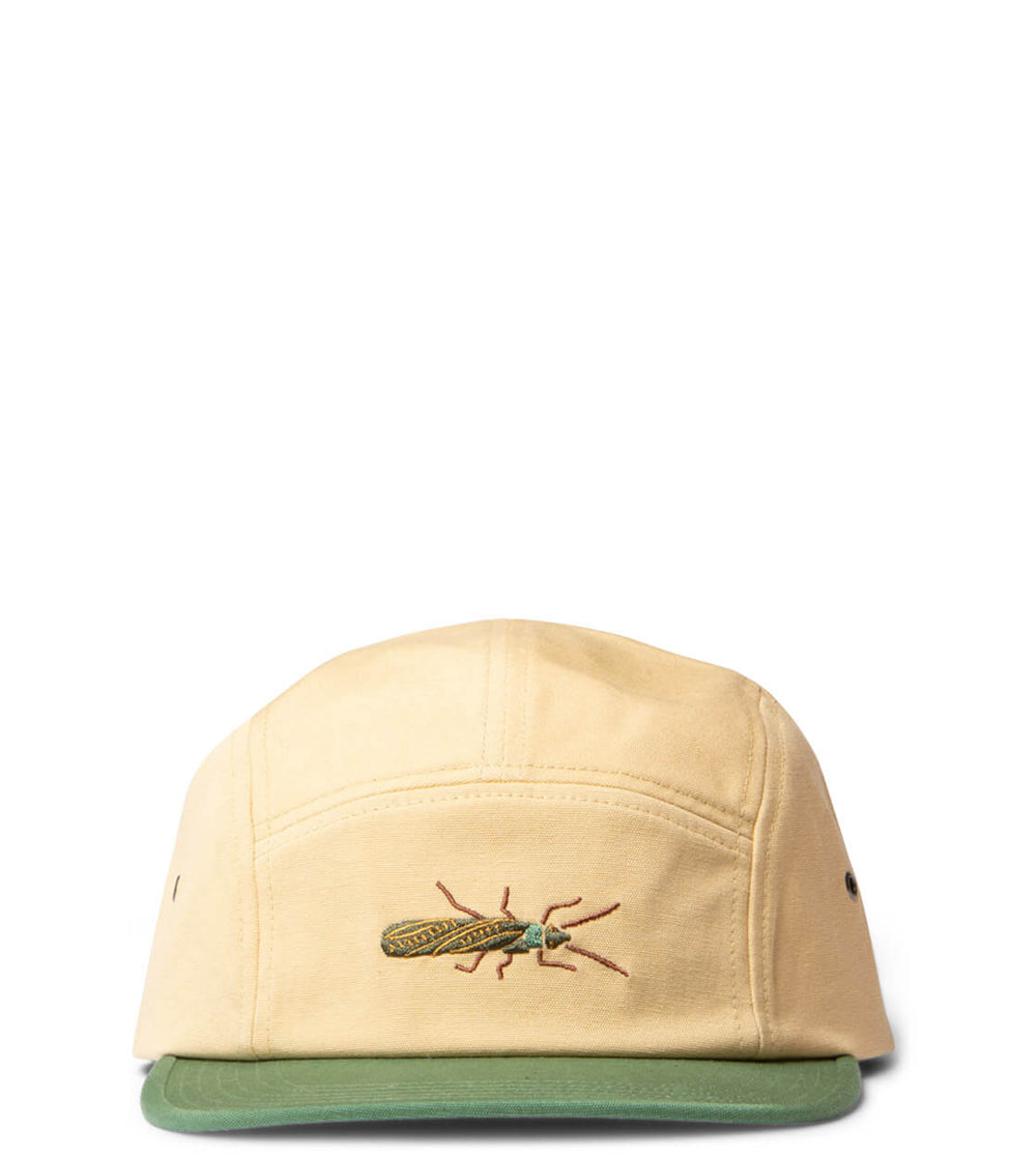 Patagonia 5 Panel Maclure Graphic beige beeswax tan buggy stoner