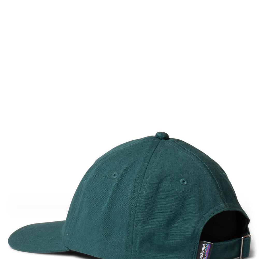 Patagonia 6 Panel P-6 Label Trad green cascade