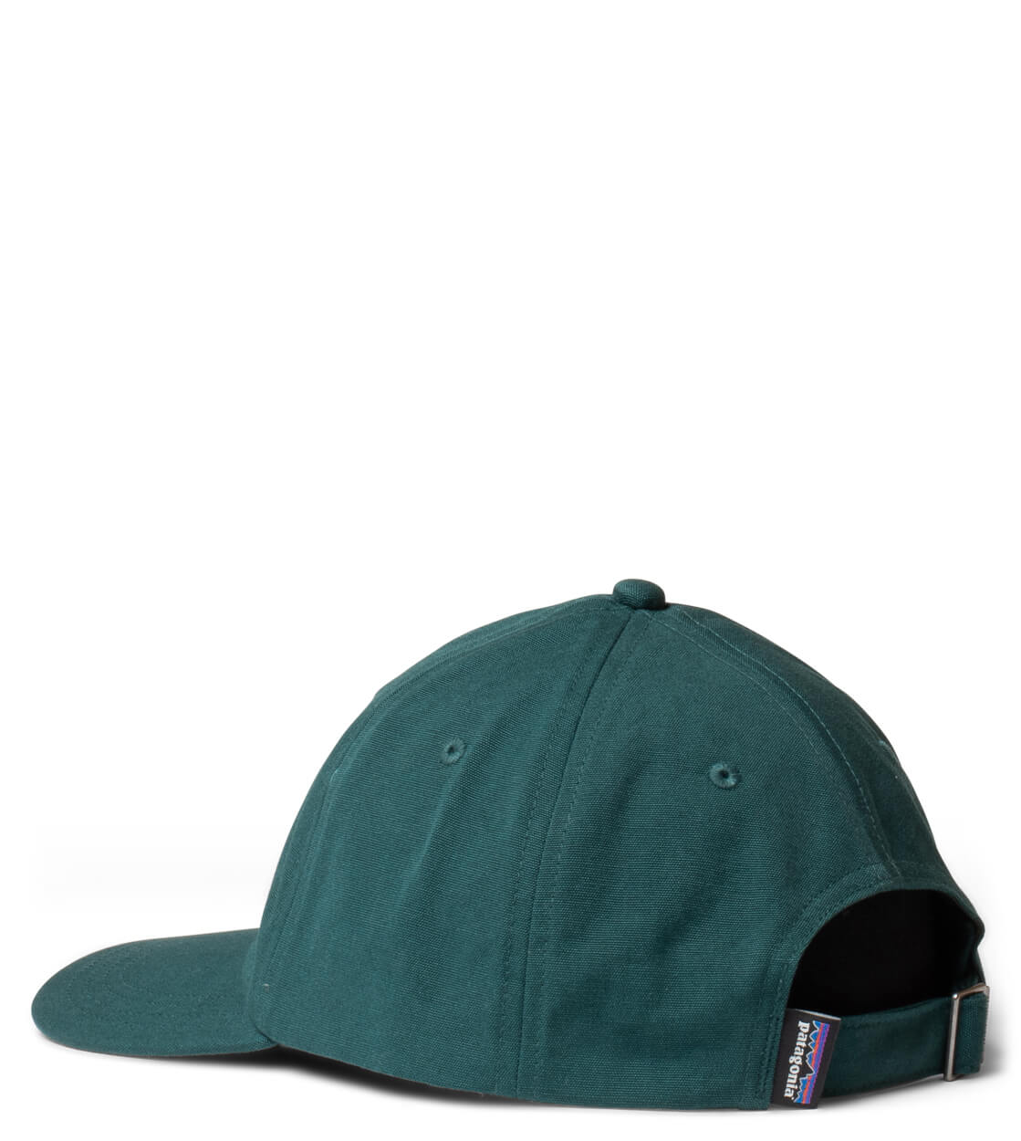 Patagonia 6 Panel P-6 Label Trad green cascade