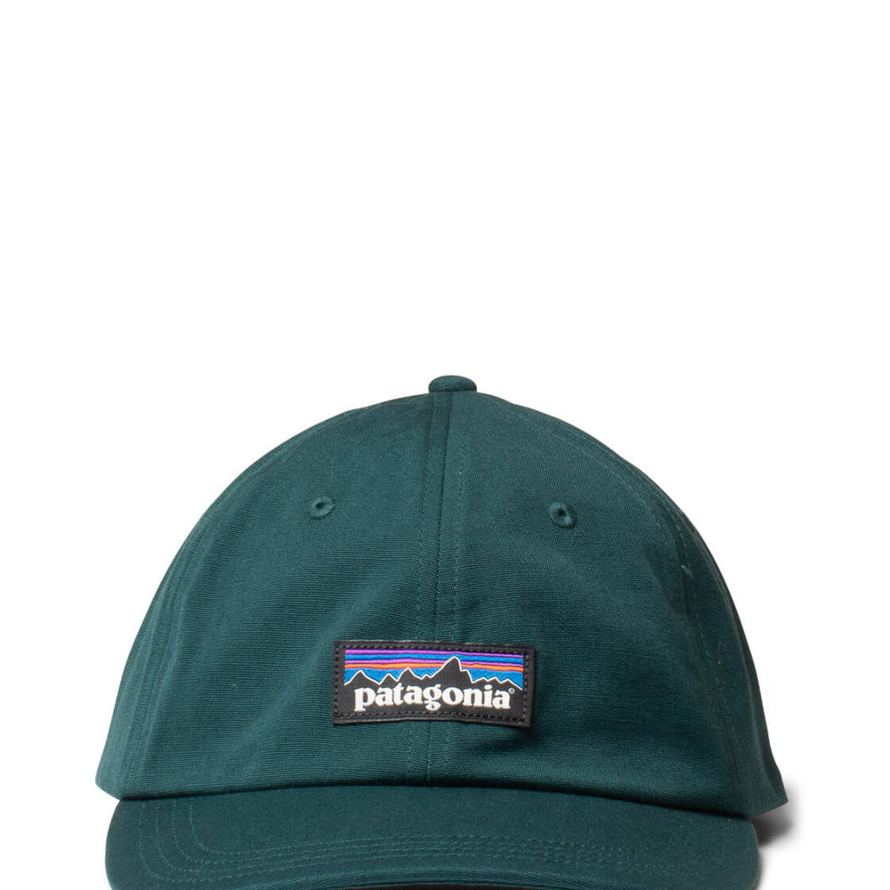 Patagonia 6 Panel P-6 Label Trad green cascade