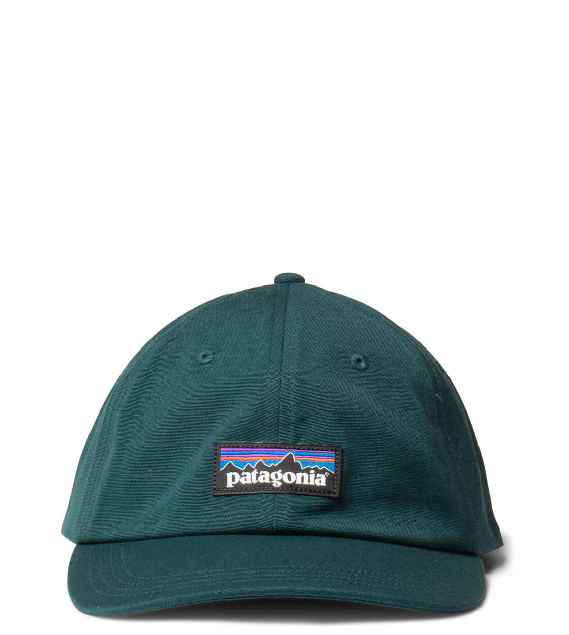 Patagonia 6 Panel P-6 Label Trad green cascade