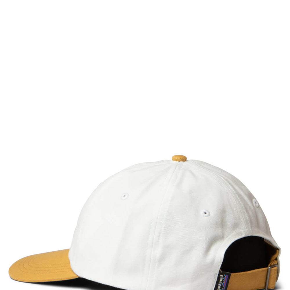Patagonia 6 Panel P-6 Label white birch