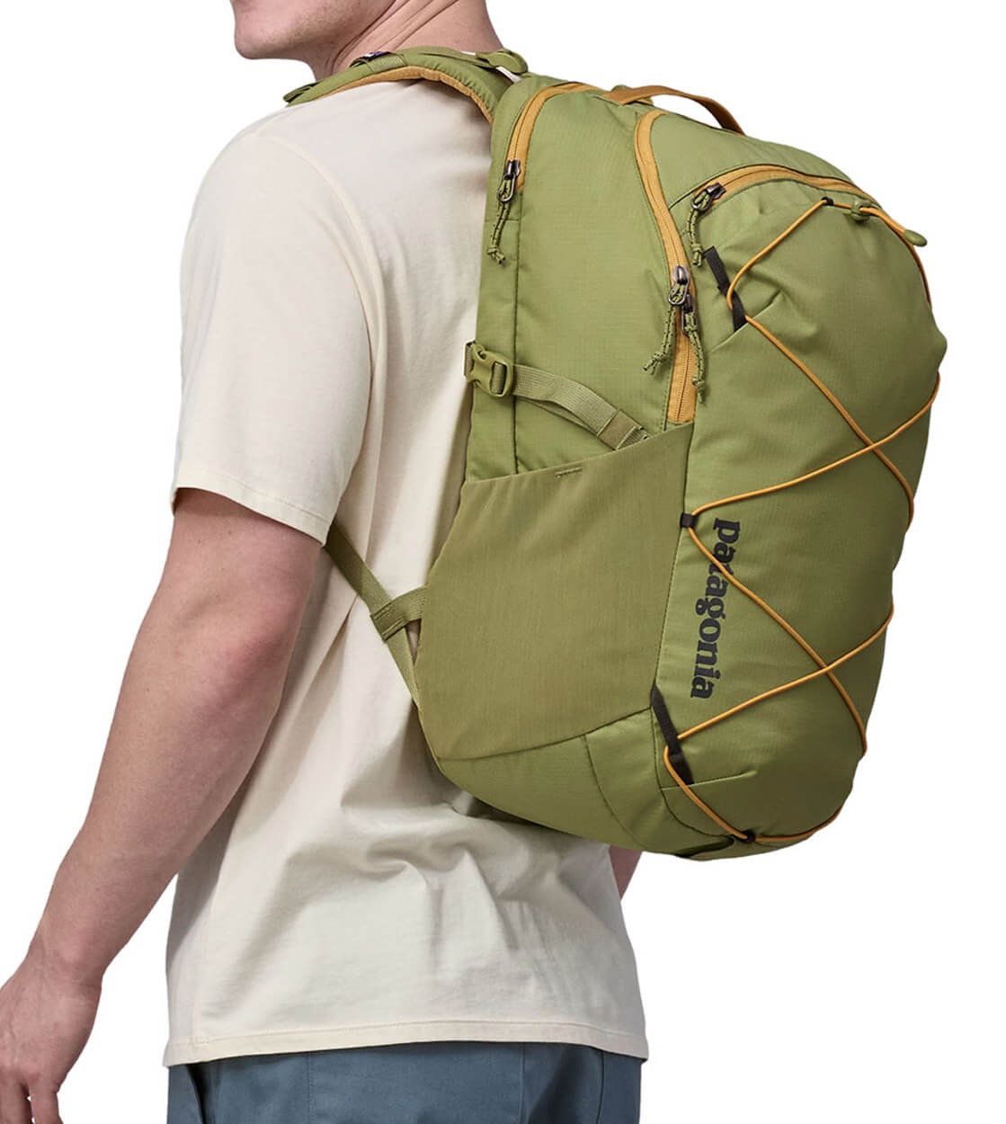 Patagonia Backpack Refugio MD green buckhorn