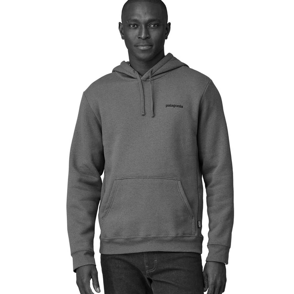 Patagonia Hooded Fitz Roy Icon green rinsed