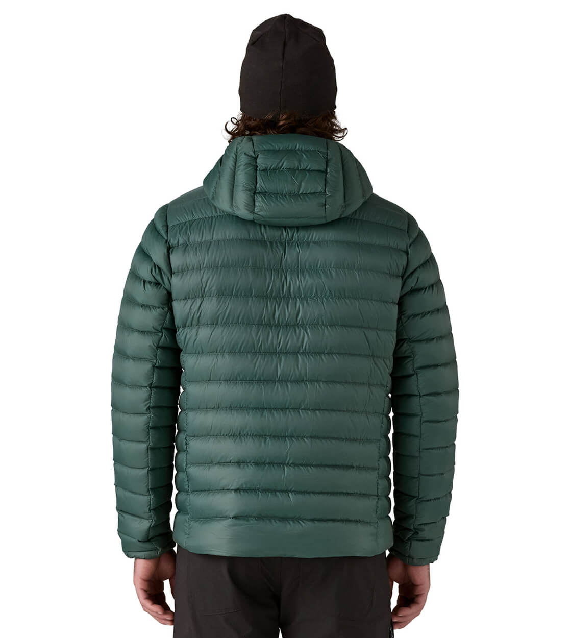 Patagonia Jacket Down Hoody green cascade