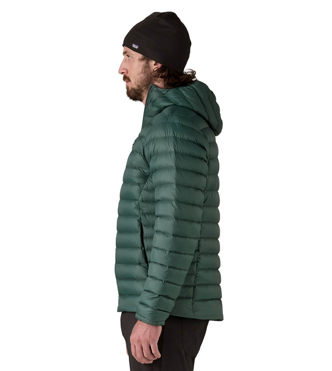 Patagonia Jacket Down Hoody green cascade