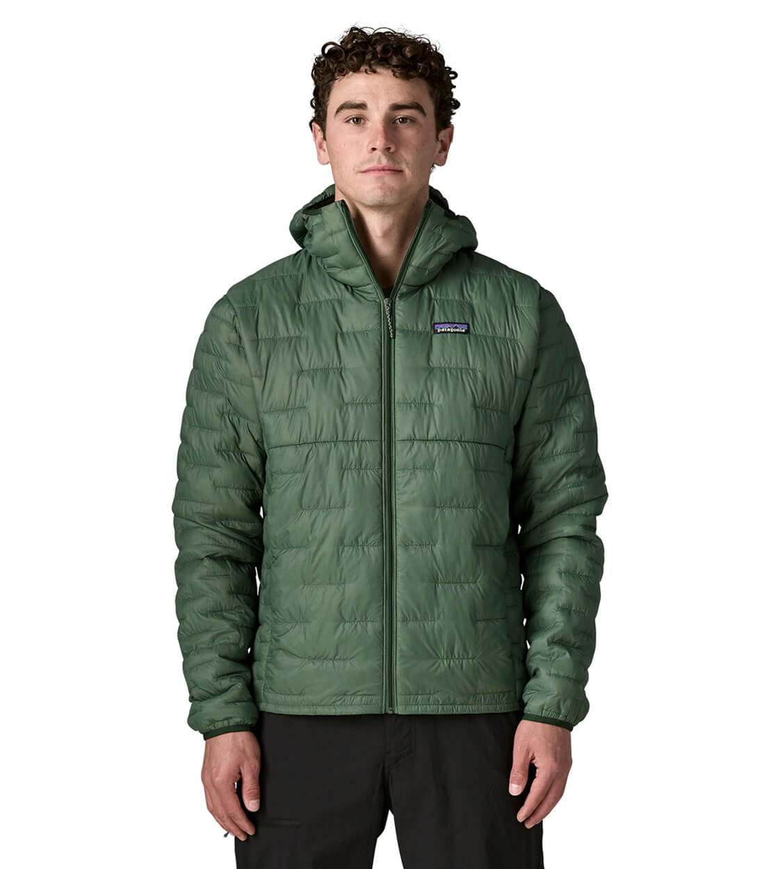 Patagonia Jacket Micro Puff Hoody green canopy
