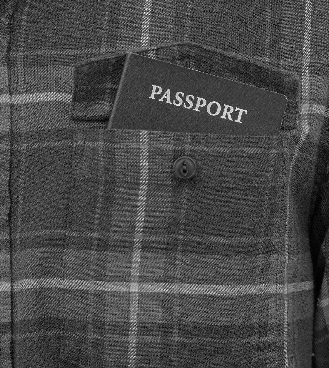 Patagonia Shirt Fjord Flannel grey salt/blue/brown