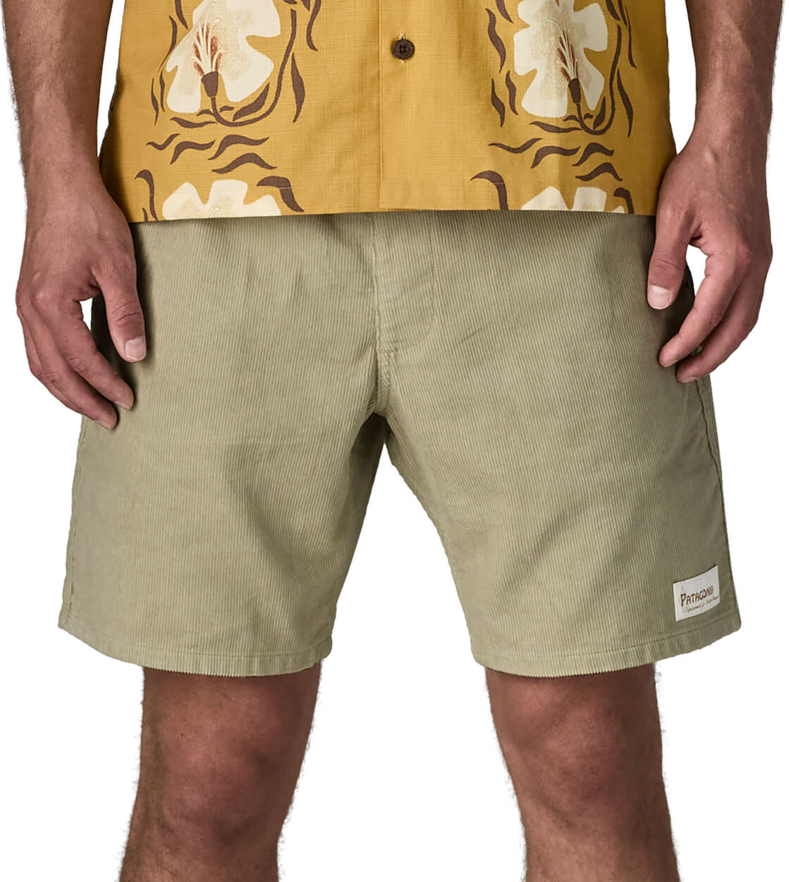 Patagonia Shorts Corduroy Volley beige pelican