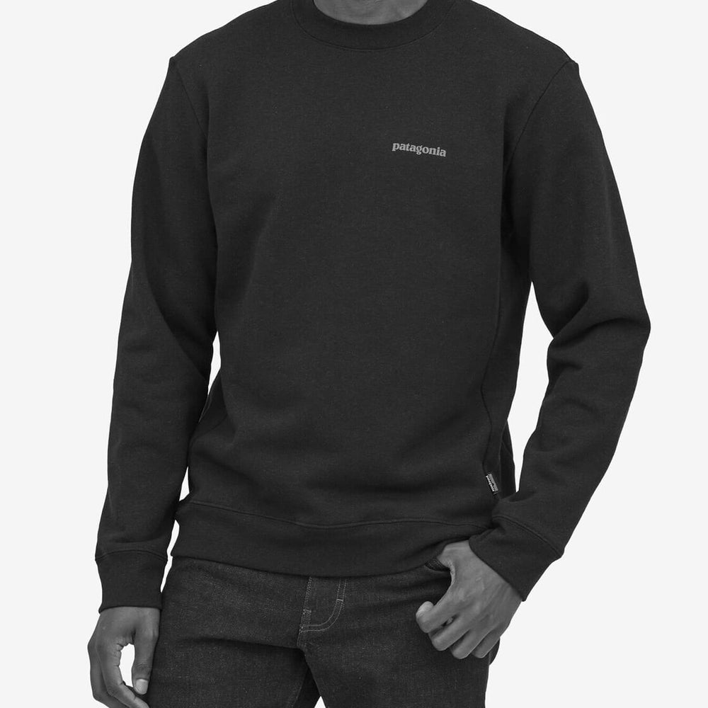 Patagonia Sweater Fitz Roy Horizons Uprisal green basin
