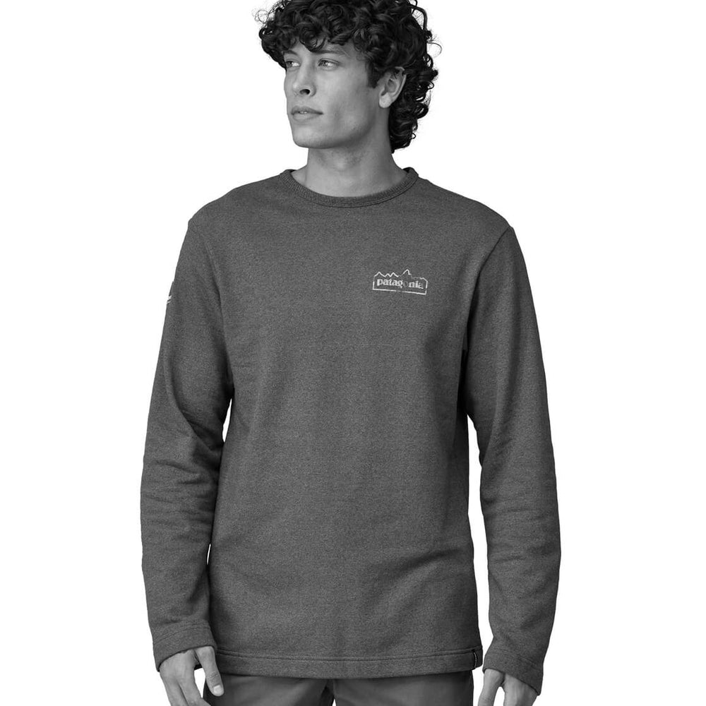 Patagonia Sweater Unity Fitz Wildrise LW grey salt