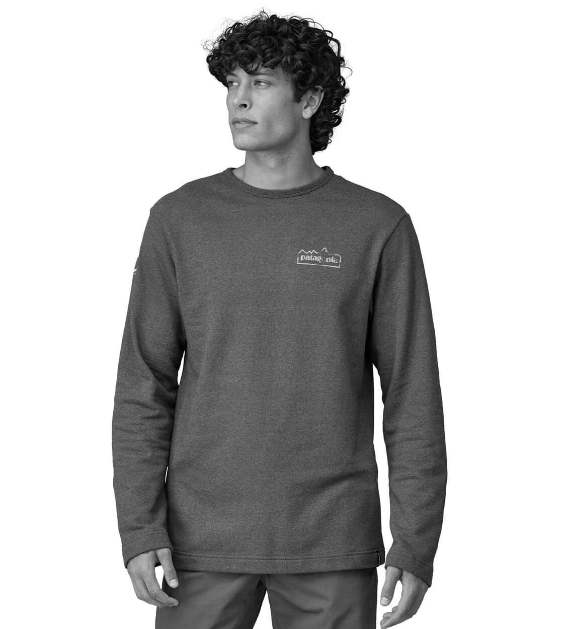 Patagonia Sweater Unity Fitz Wildrise LW grey salt