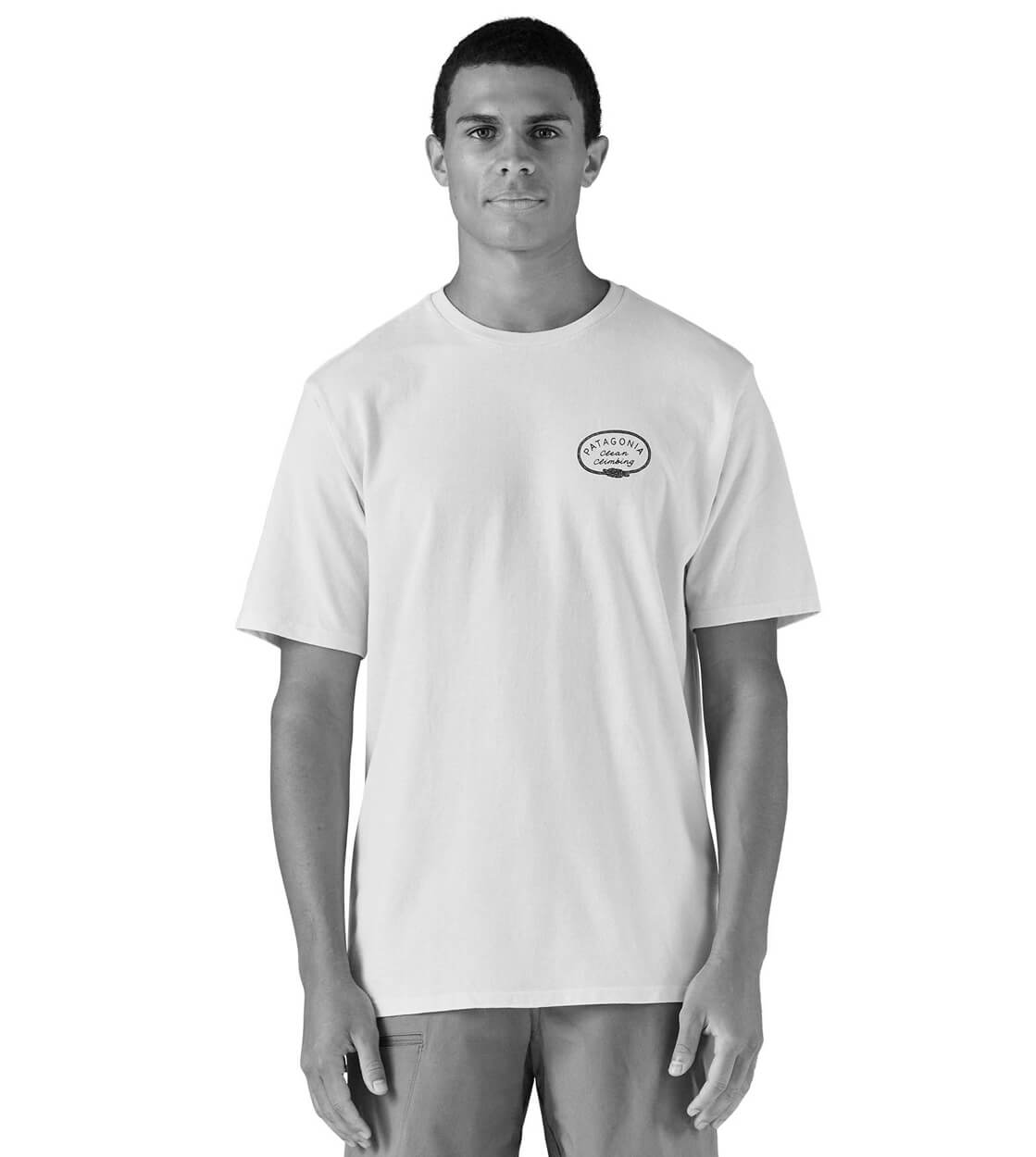 Patagonia T-Shirt Clean Climb Roots Responsibili purple plummet