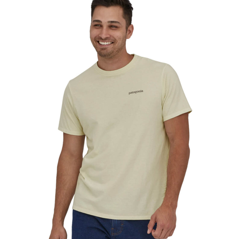Patagonia T-Shirt Fitz Roy Icon beige birch white
