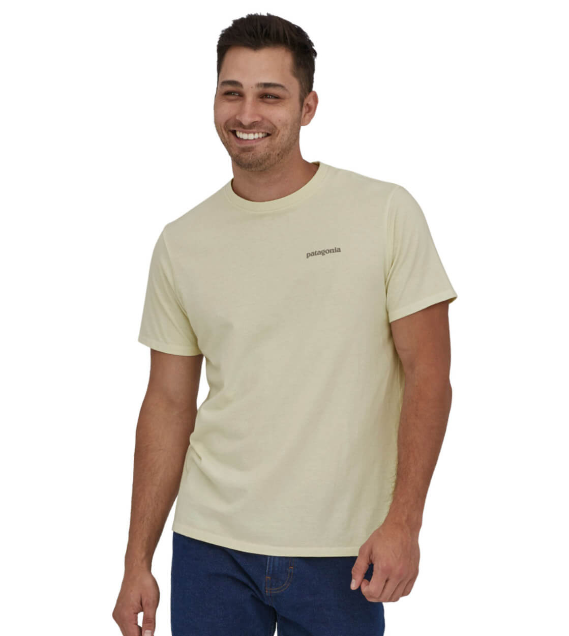 Patagonia T-Shirt Fitz Roy Icon beige birch white
