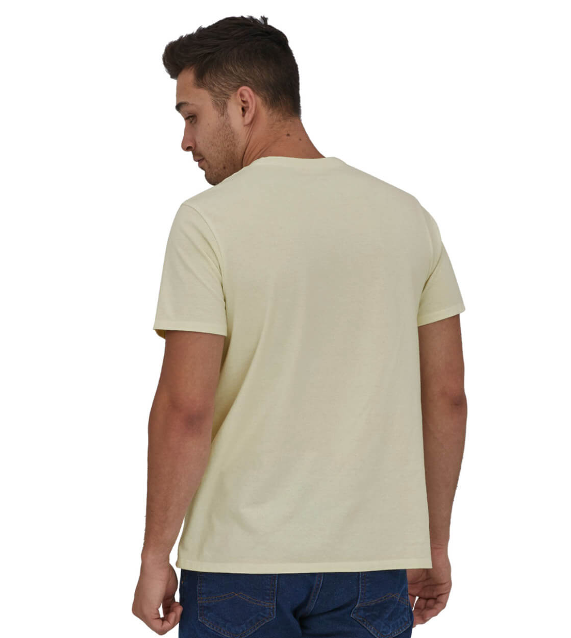 Patagonia T-Shirt Fitz Roy Icon beige birch white