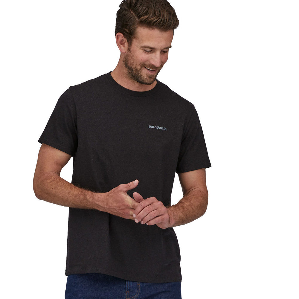 Patagonia T-Shirt Fitz Roy Icon black ink