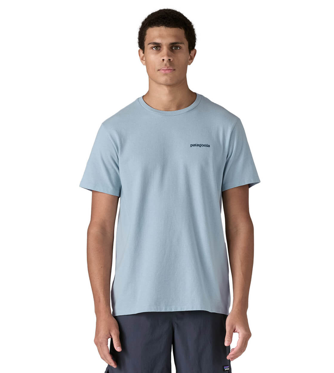 Patagonia T-Shirt Fitz Roy Icon blue fleck