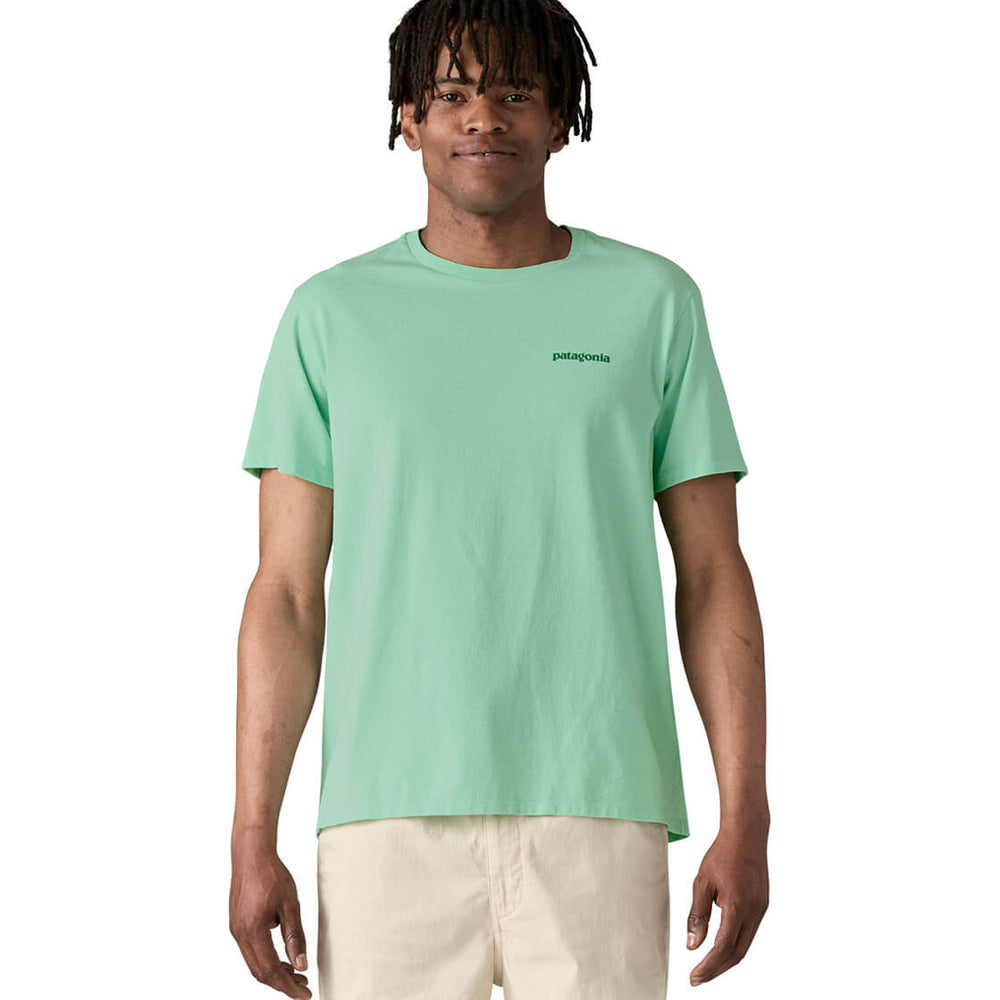 Patagonia T-Shirt Fitz Roy Icon green rinsed