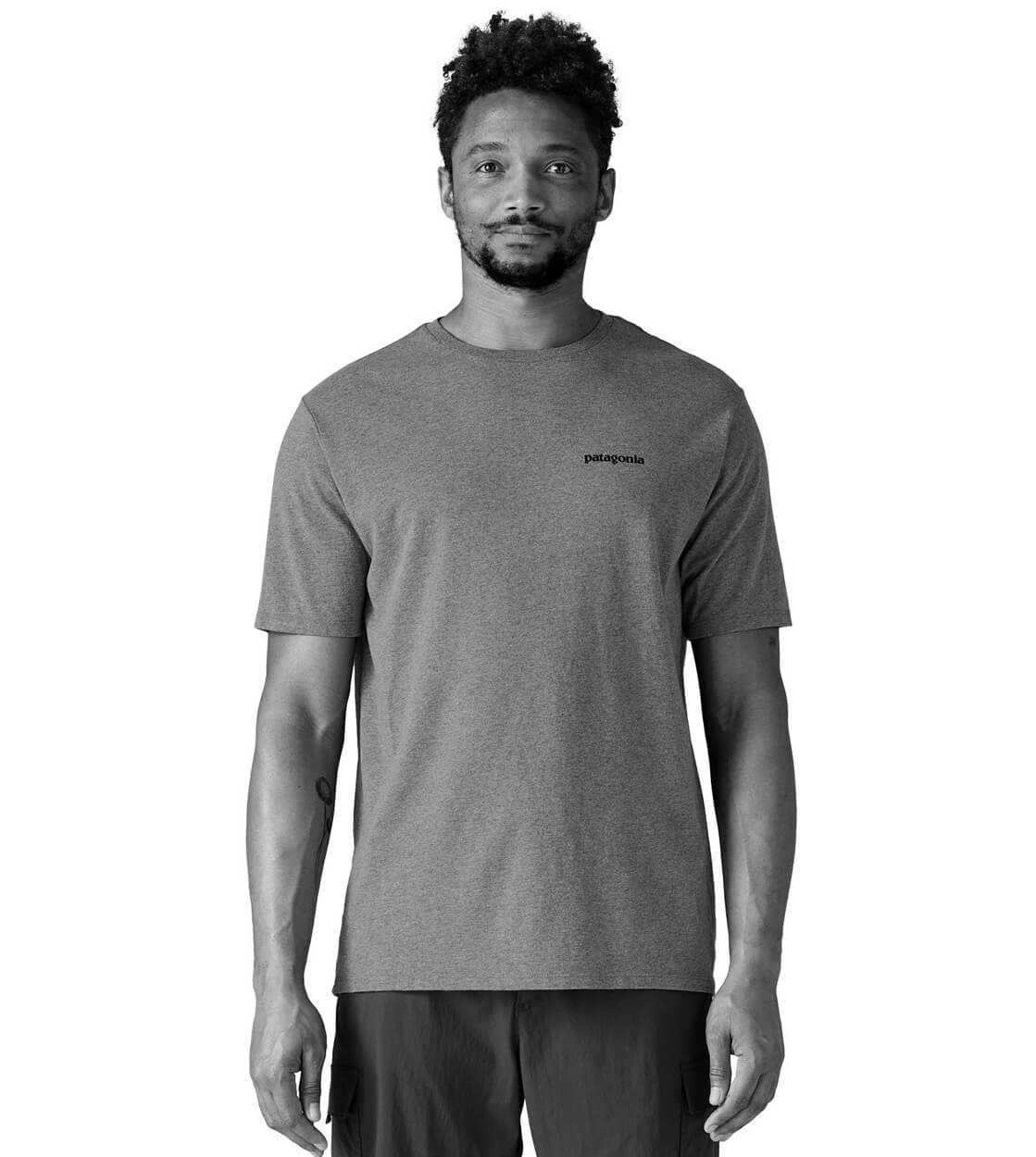 Patagonia T-Shirt Fitz Roy Icon red dried vanilla