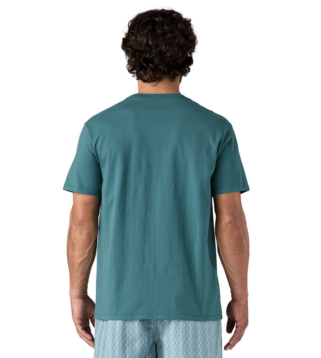 Patagonia T-Shirt Flying Fish Tides green wetland blue