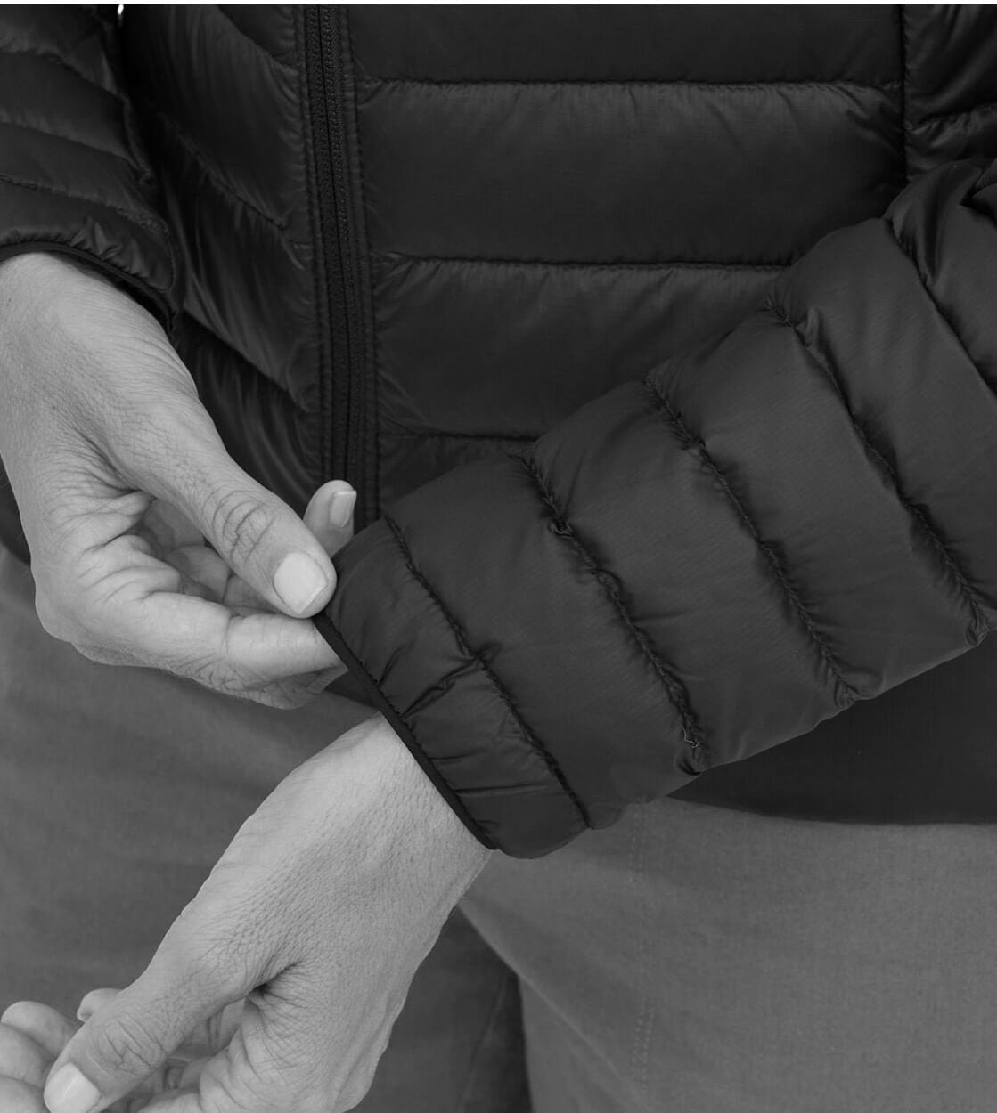 Patagonia W Jacket Down Sweater green hemlock