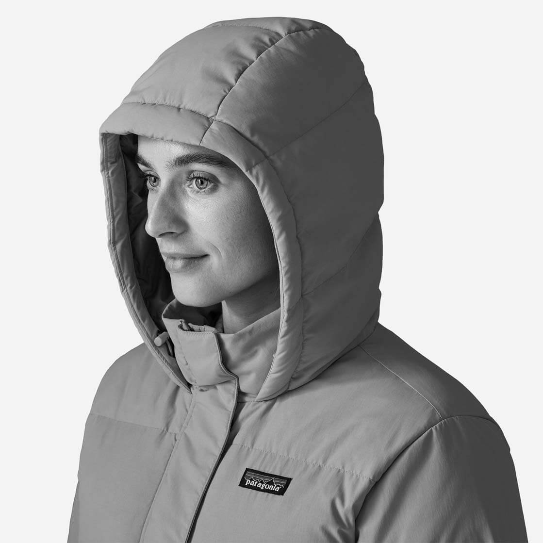 Patagonia W Winterjacket Sisar Down Hooded black