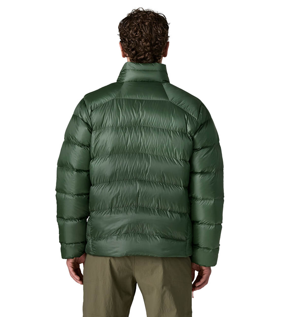 Patagonia Winterjacket Fitz Roy Down green canopy