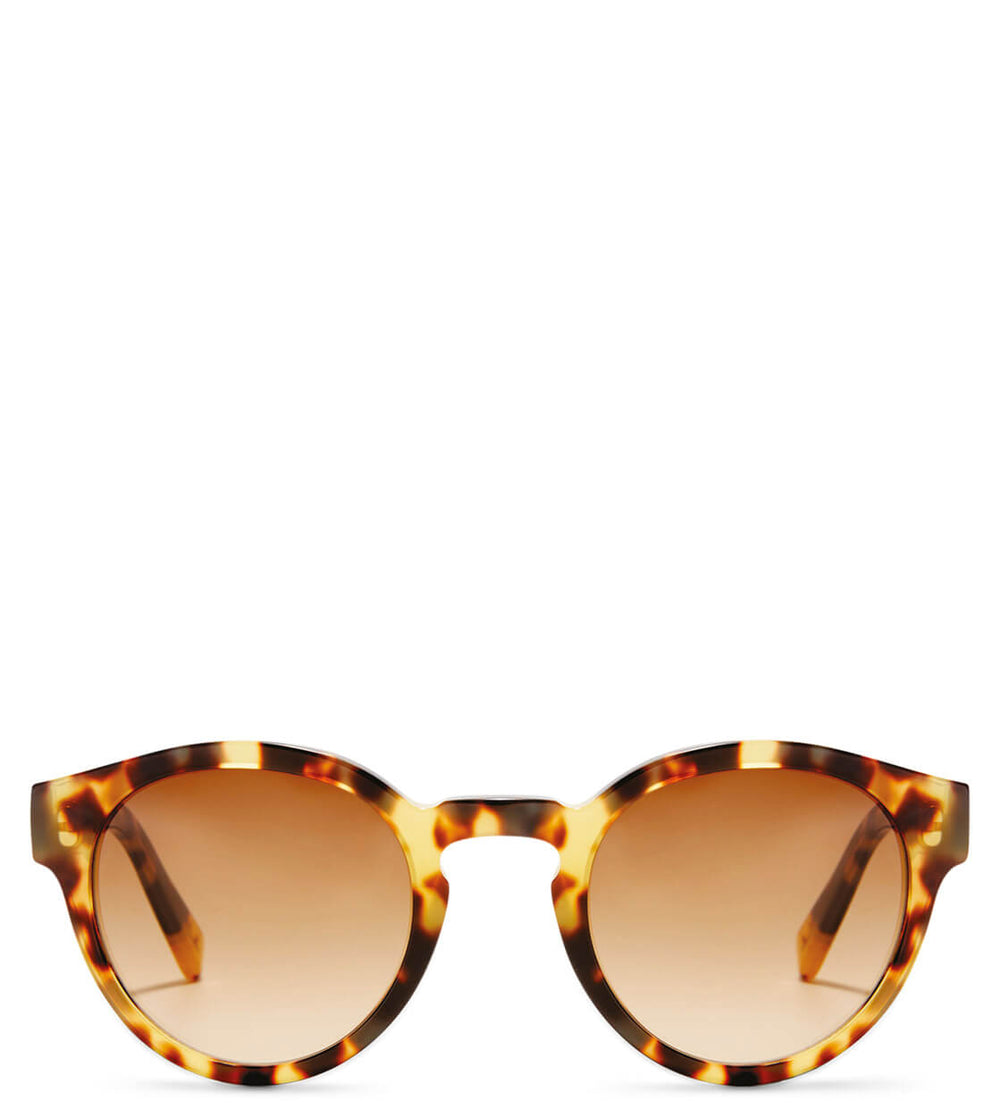 Viu Sunglasses Definite gold tortoise shiny