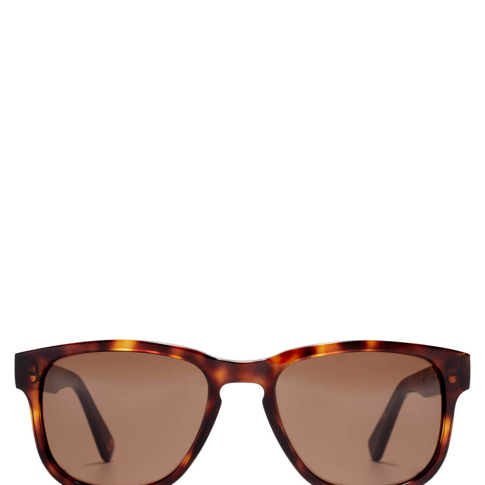 Viu Sunglasses Persuasive tortoise shiny